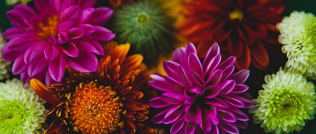 西班牙队用 西班牙队用